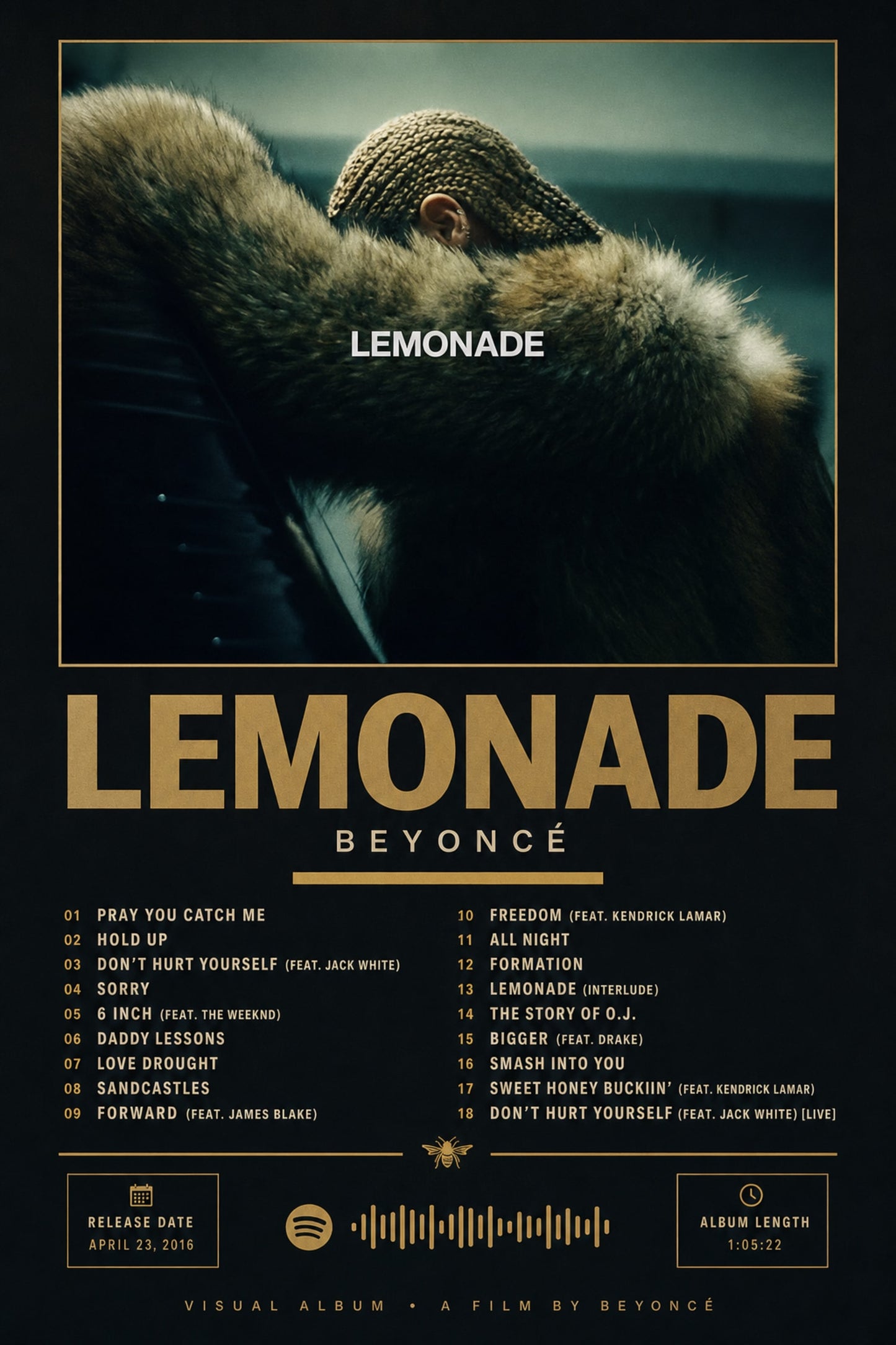 LEMONADE VISUAL ALBUM
