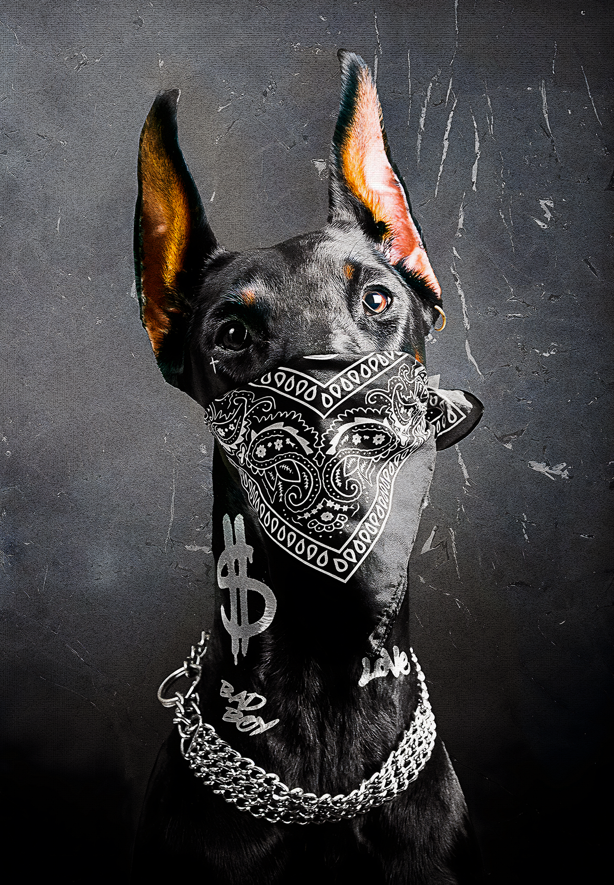 EDGY CANINE