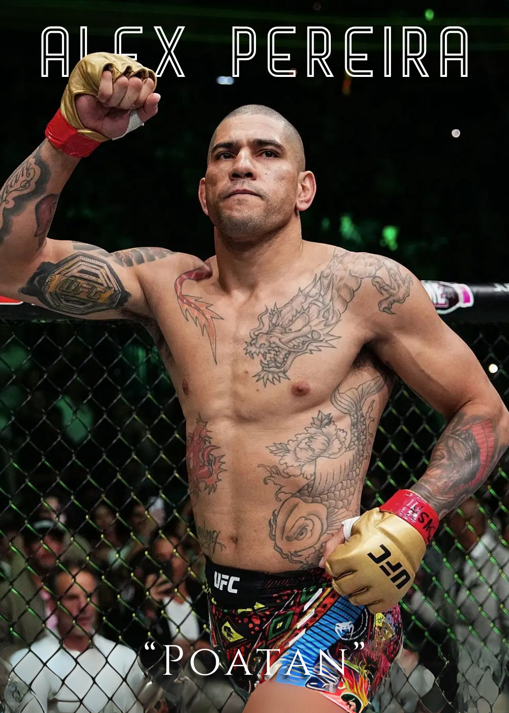 Alex Pereira UFC Poster  'Poatan' MMA Champion Wall Art