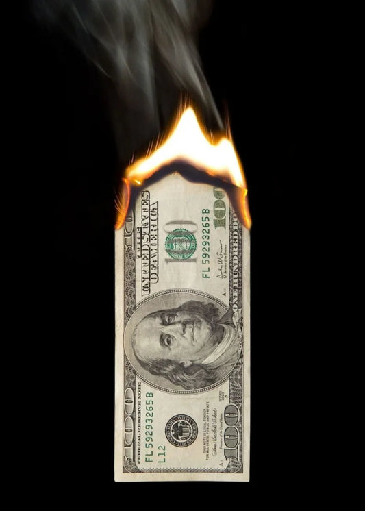 Burning Money Poster  HunRed Dollar Bill on Fire Art | Home Decor | Decoration Poster