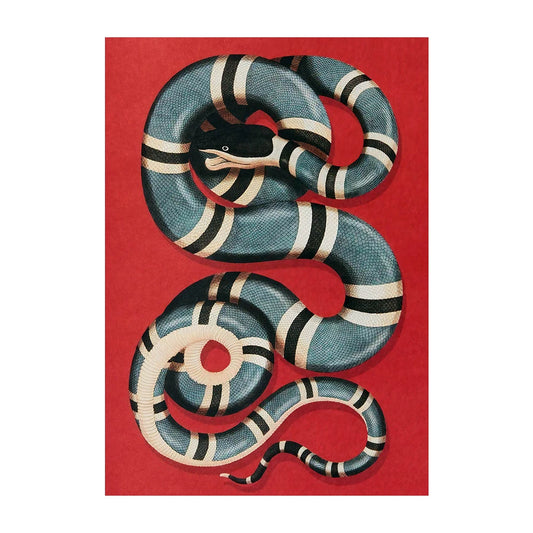 Kingsnake Poster | Alessandro Michele Artwork | Legends of Gucci | Home Decor