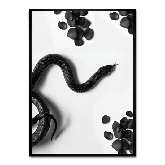 Black Snake Roam | Wildlife Art Print | Nature Illustration Poster | Wall Decor | Home Decoration | Snake Artwork | Animal Poster