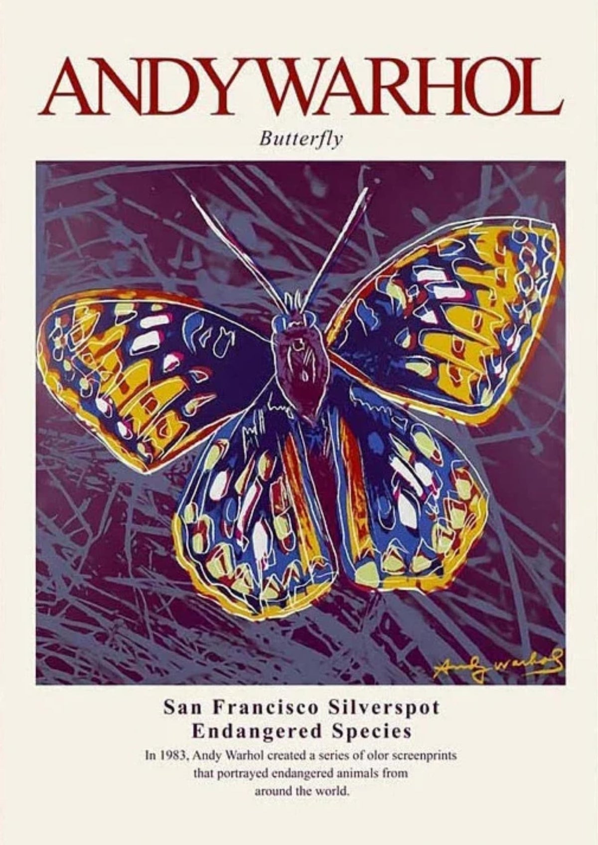 BUTTERFLY 83