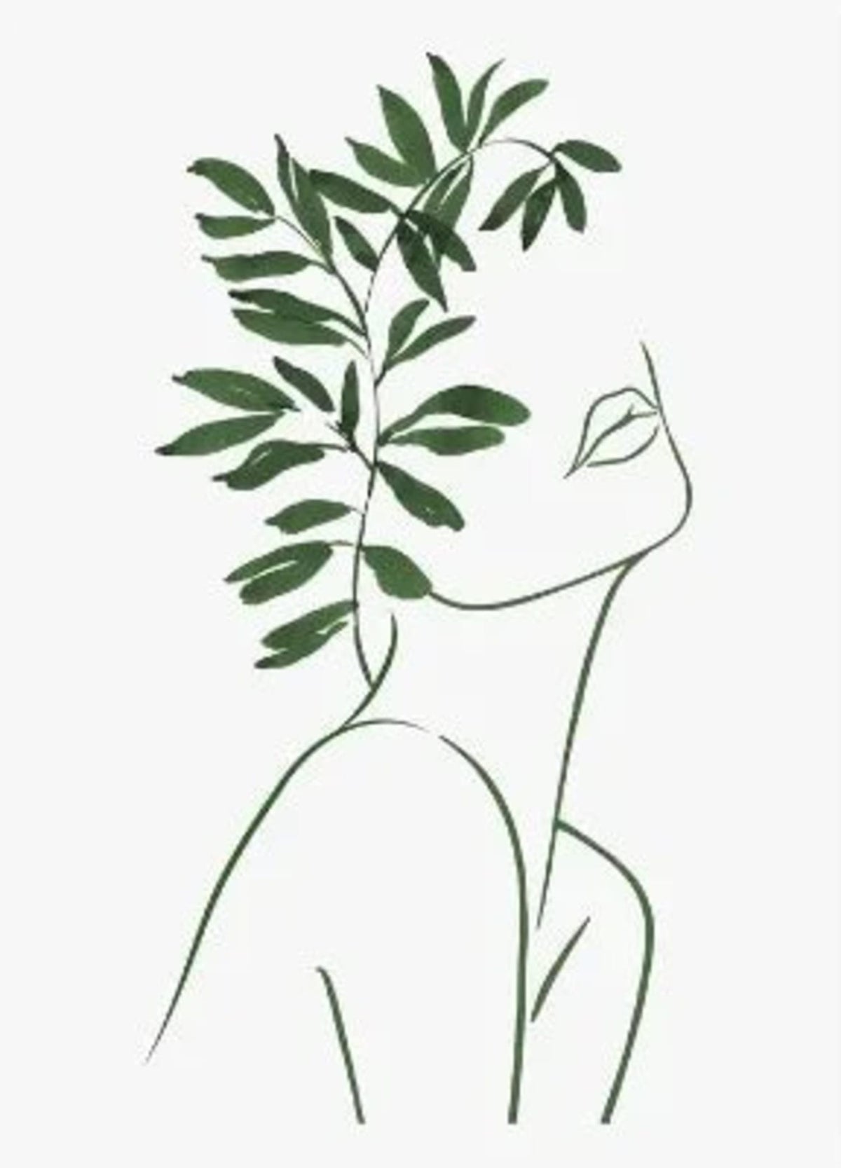 LEAFY GEOMETRY