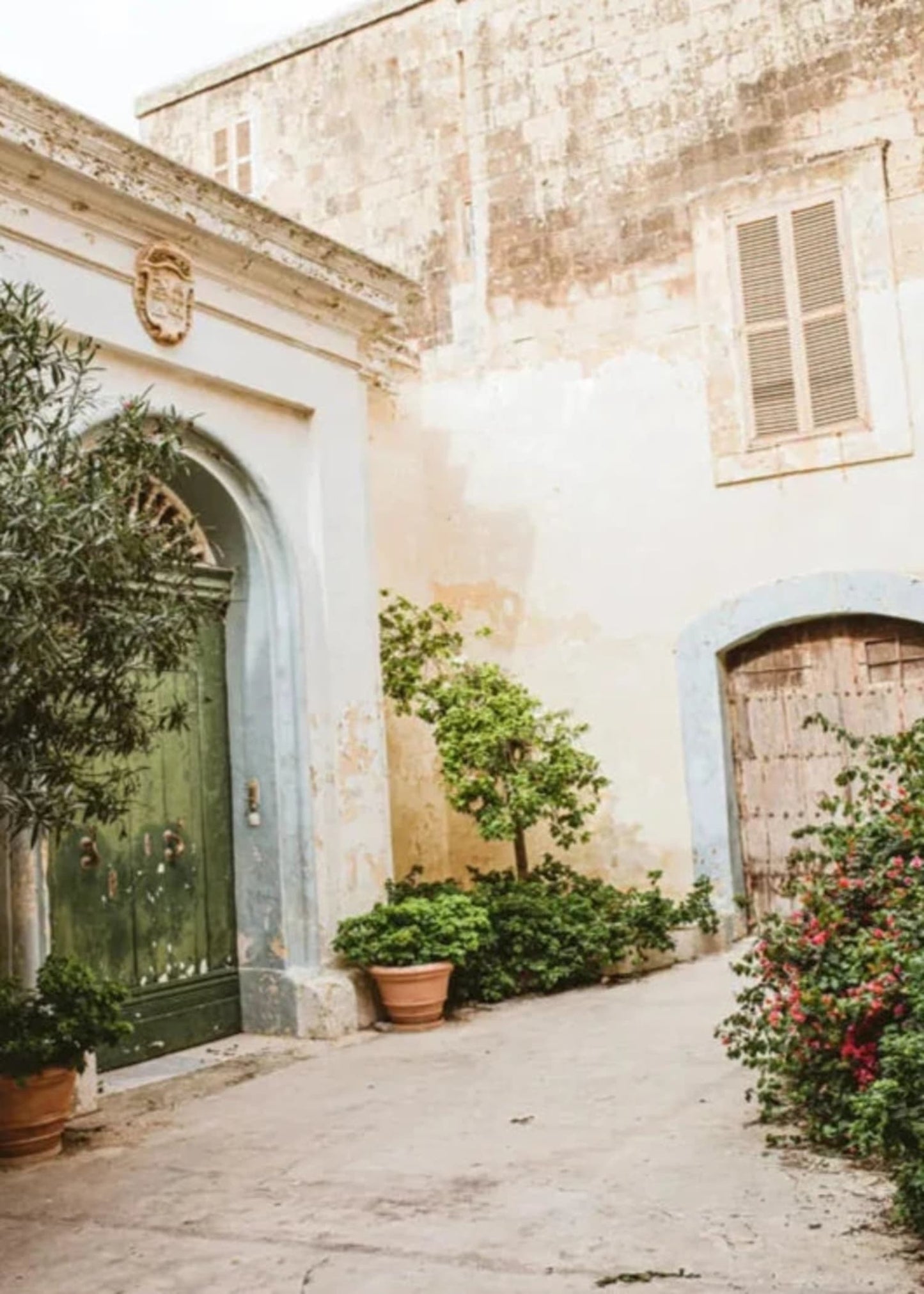 Arches & Leaves Poster | Tranquil Architectural Design | Elegant Home Decor Wall Art | Nature-Inspired | Premium Quality Print