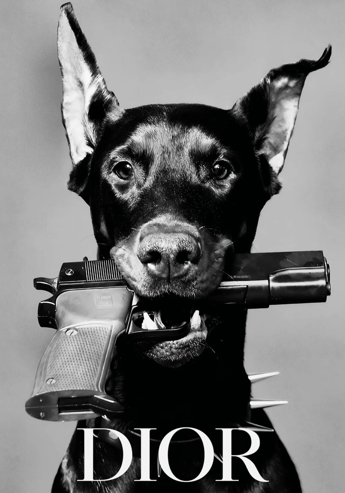 DIOR DOG