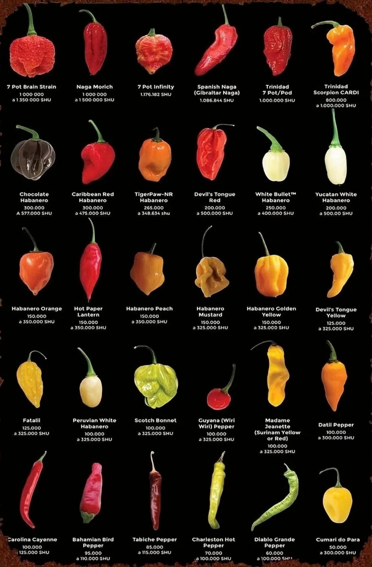 PEPPERS & CHILLIS