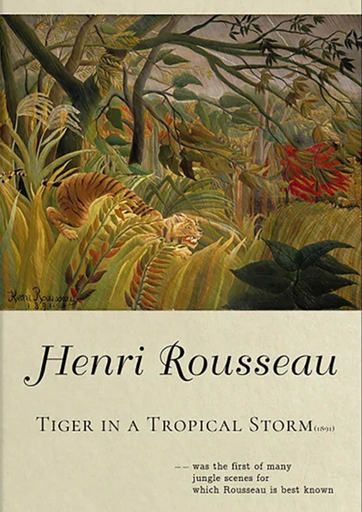 TIGER IN A TROPICAL STORM