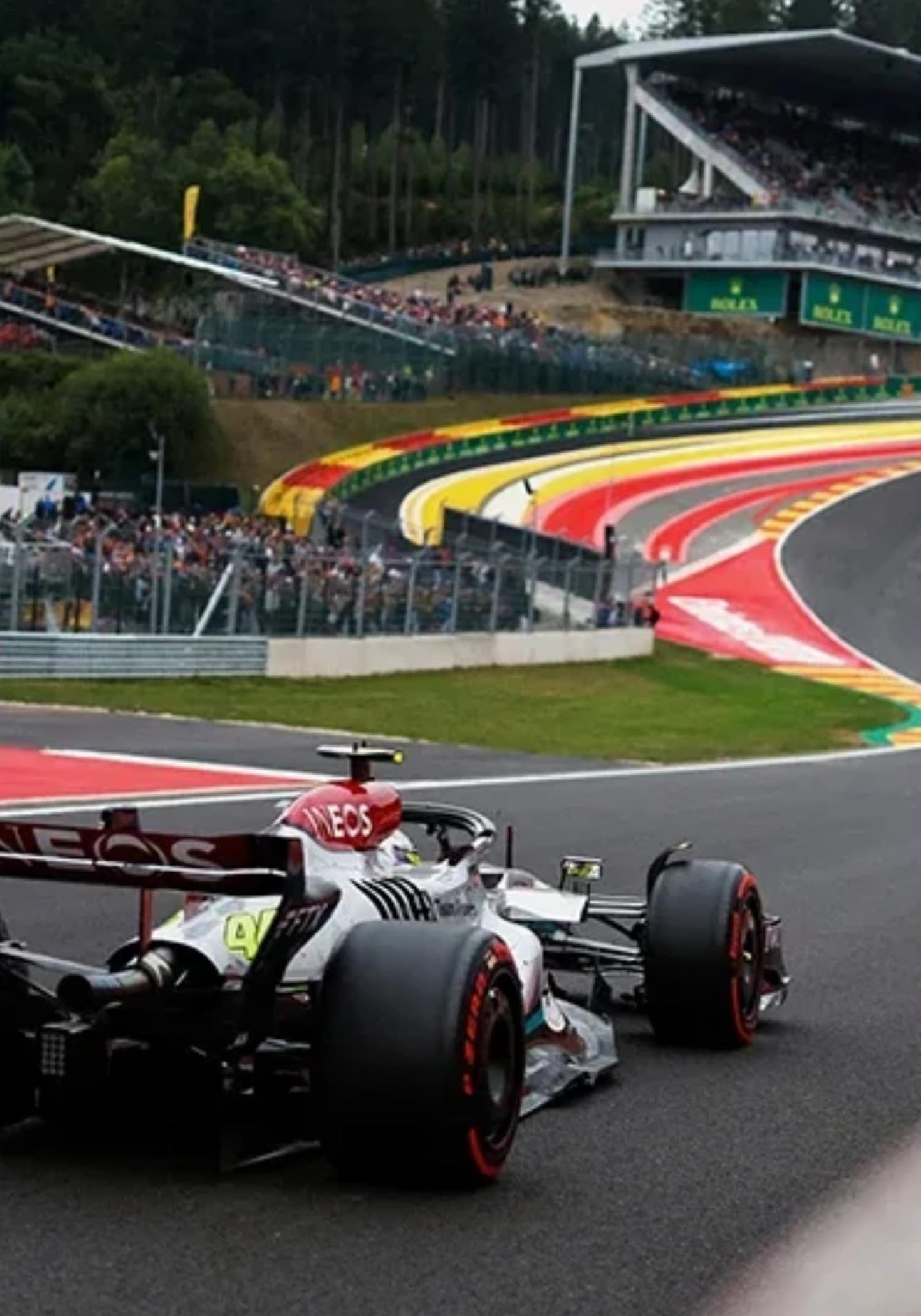 SENNA & LECLERC GRAND PRIX