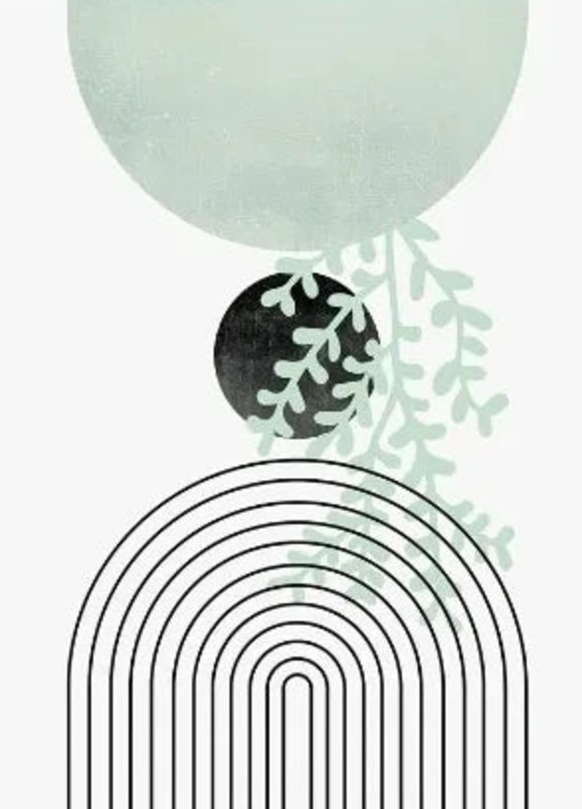 SERENE BOTANICAL