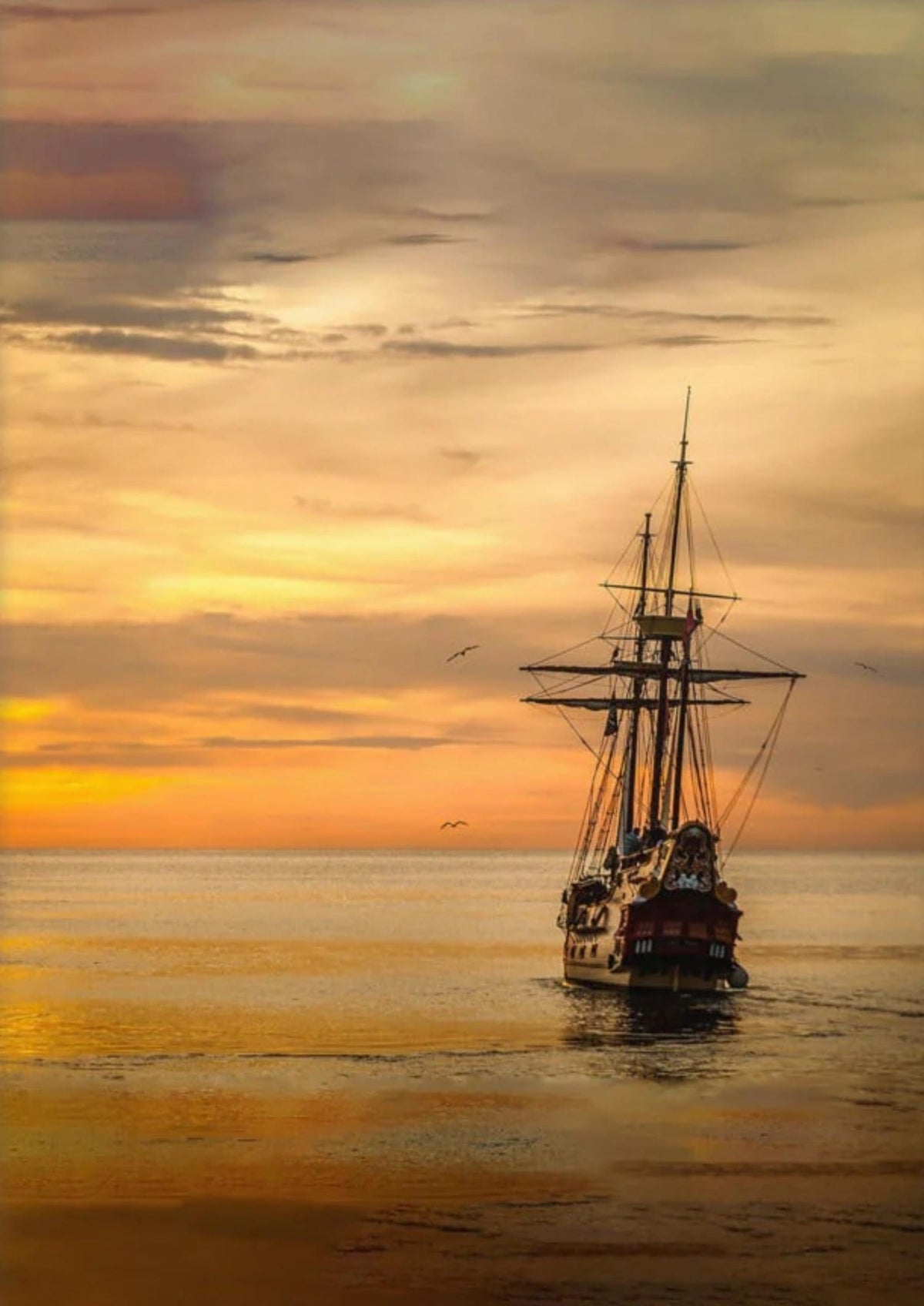 THE SUNSET VOYAGE