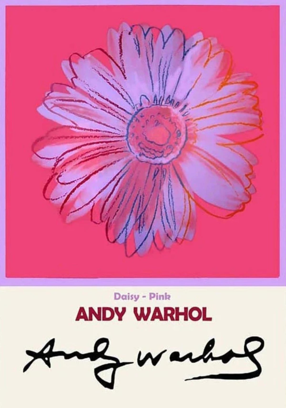 DAISY PINK