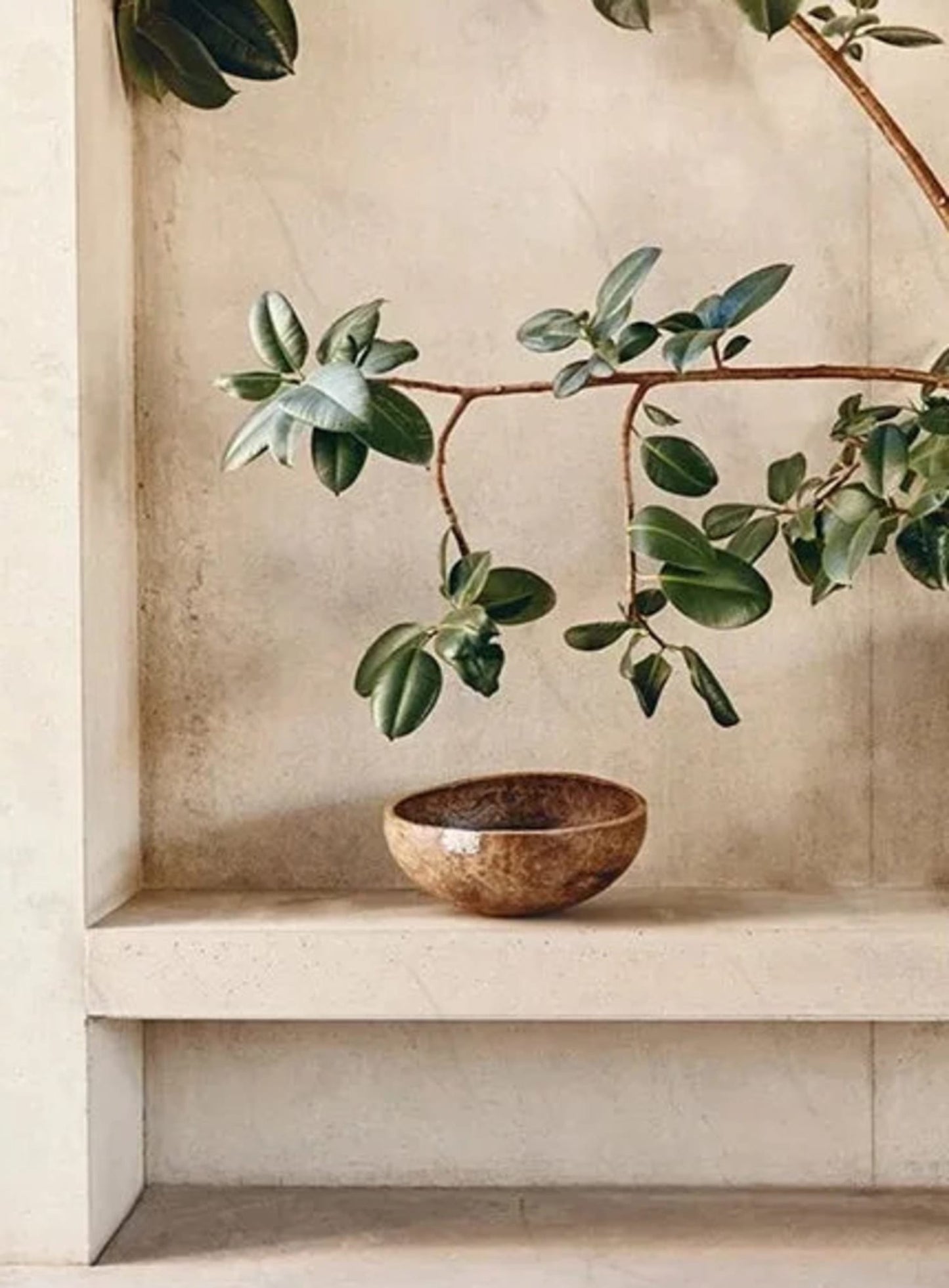 Bohemian Rustic Reflections Poster | Vintage Wall Art | Artistic Home Decor | Visual Artwork for Living Room | Prints for Rustic Interior Design | Unique Boho Style | 24x36 Inches