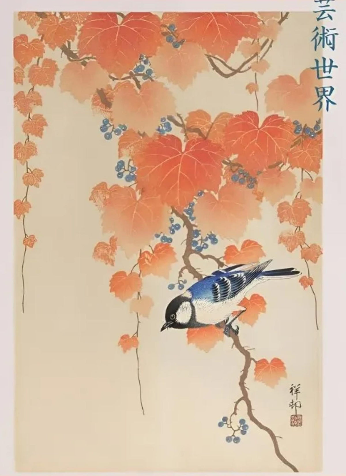 GREAT TIT ON PAULOWNIA