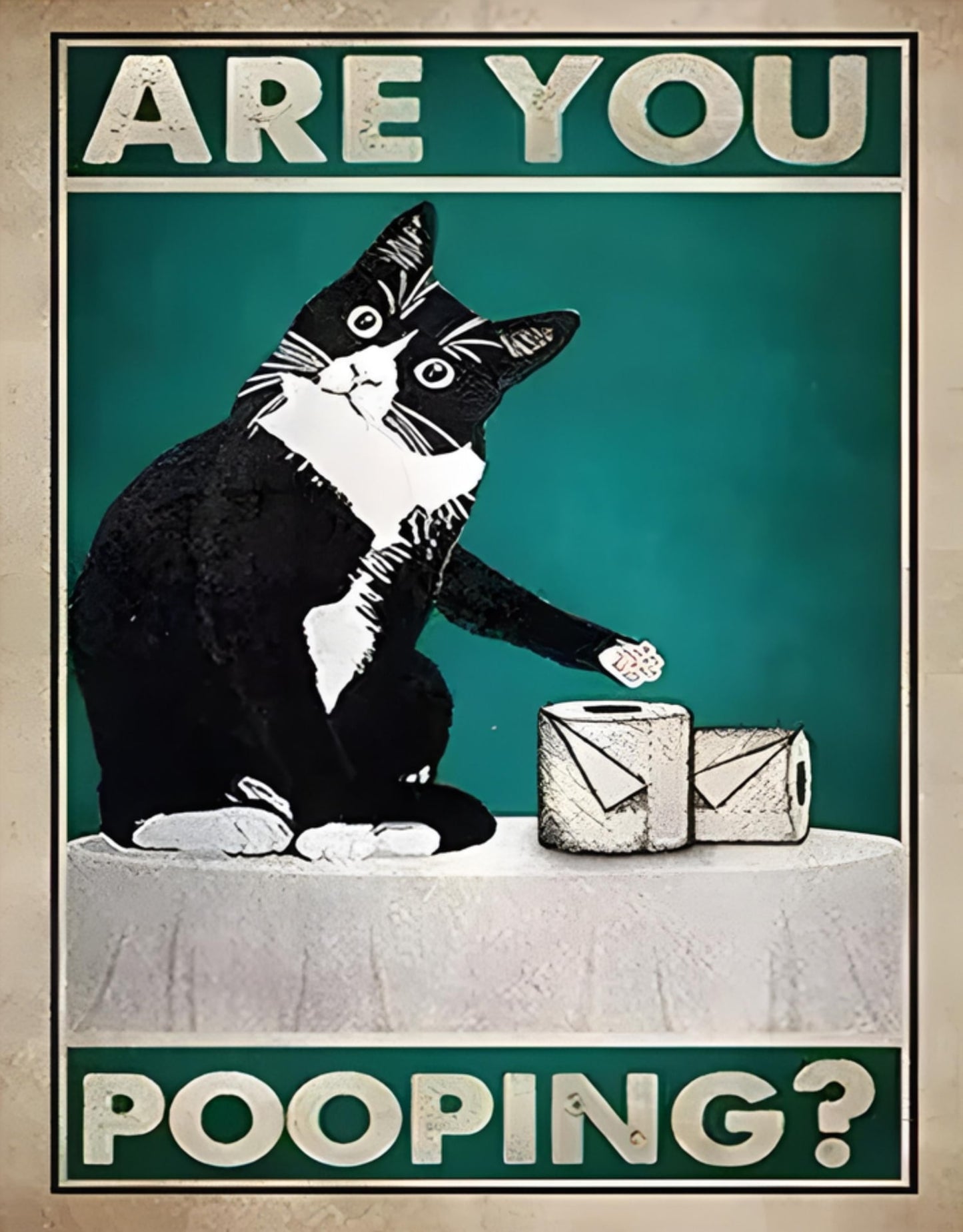 FUNNY BLACK CAT