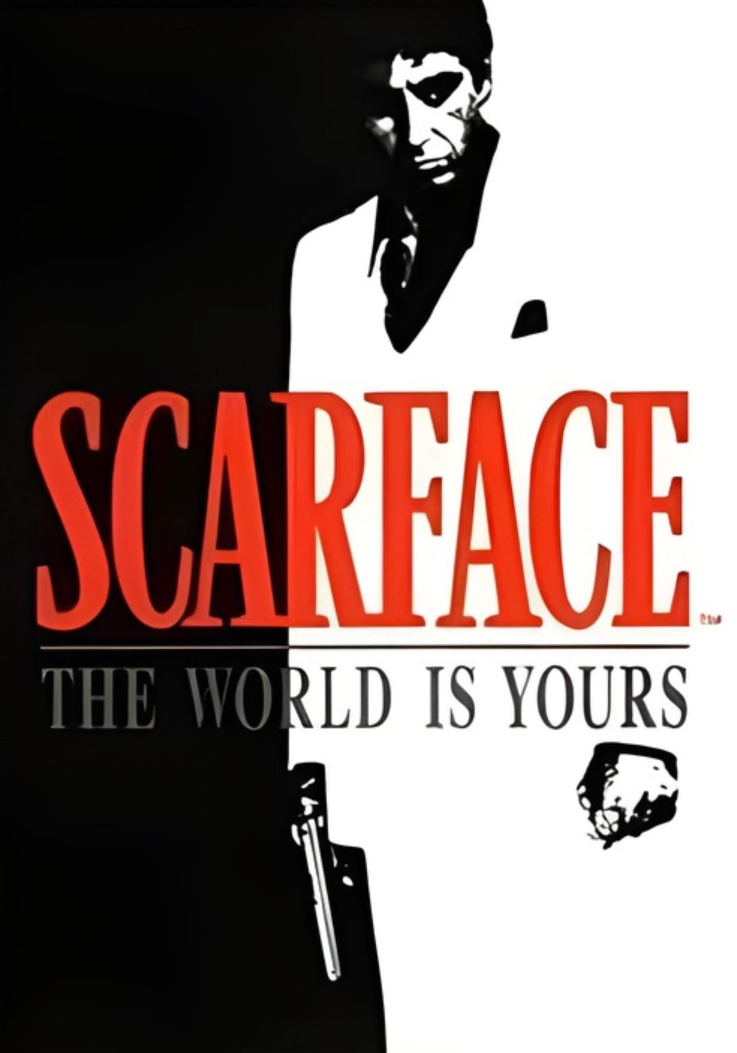 THE WORLD IS YOURS