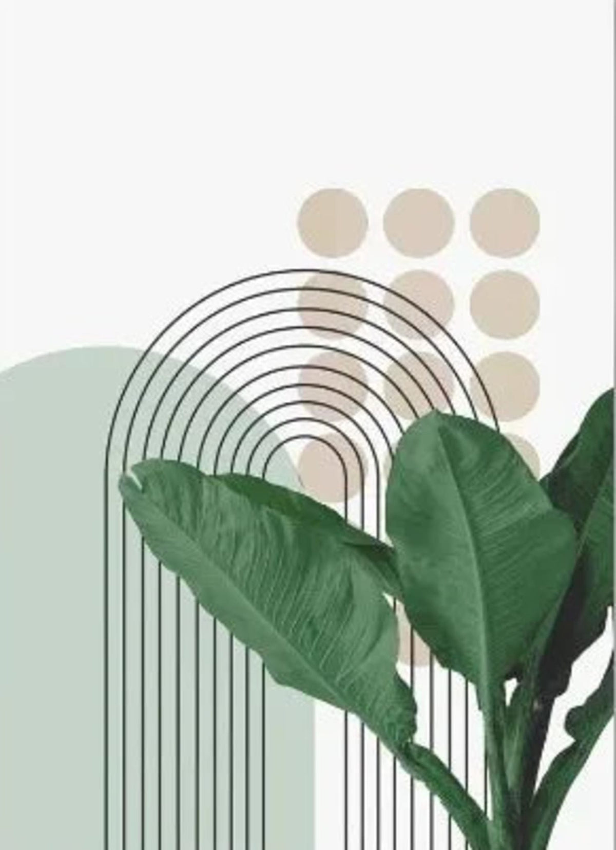 BOTANICAL HARMONY