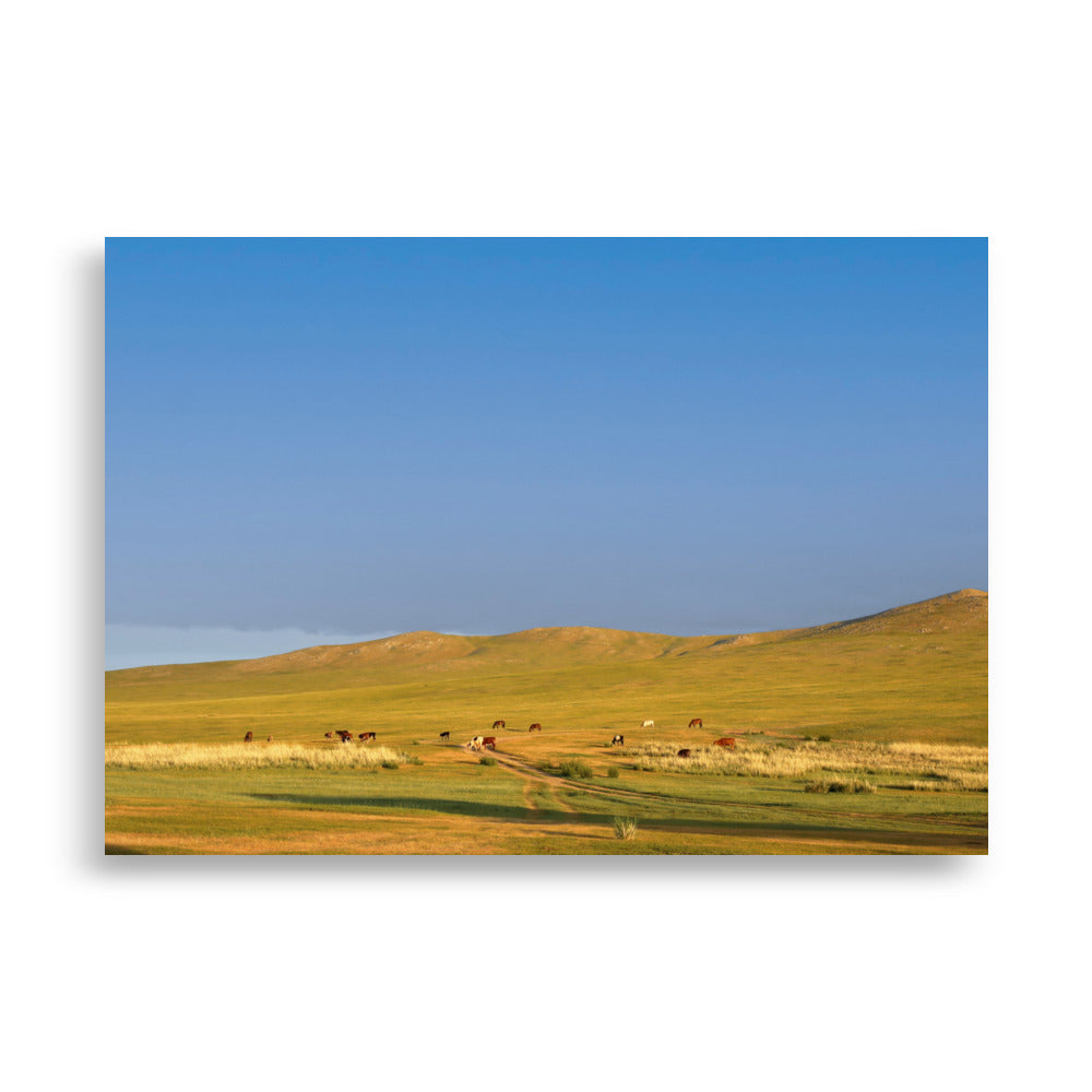 Poster - Steppe on a calm morning, Mongolia