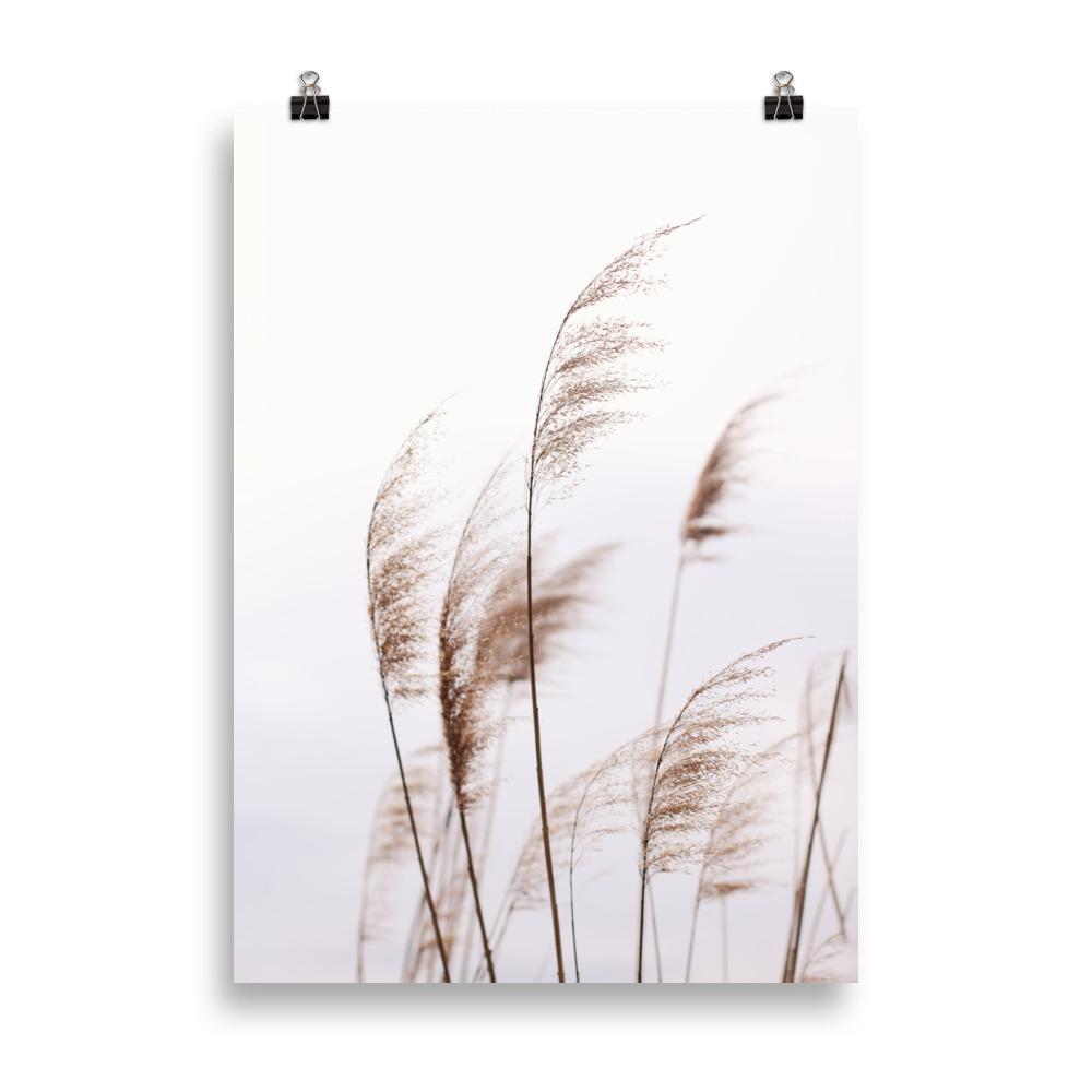 Windy Riets Scenic Landscape Poster | Nature Art Print | Home & Garden Decor | Wall Artwork