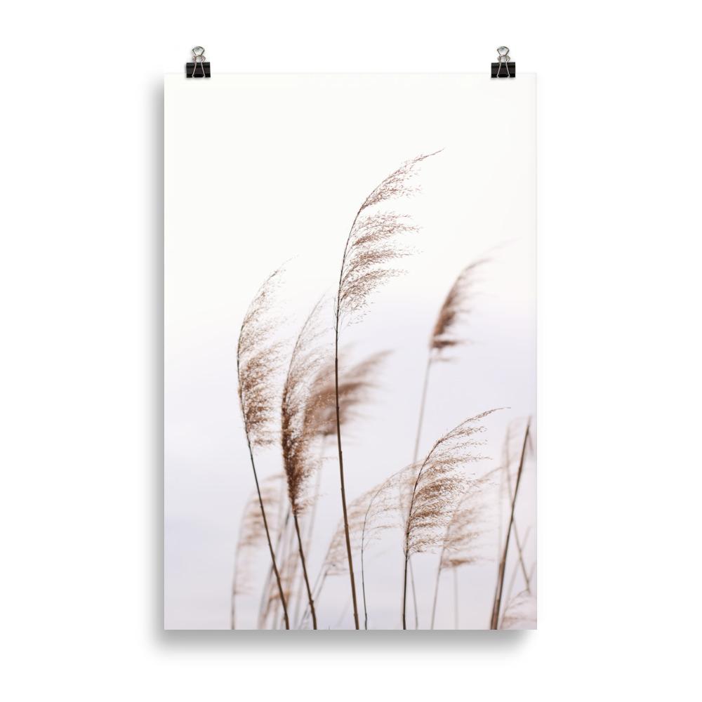 Windy Riets Scenic Landscape Poster | Nature Art Print | Home & Garden Decor | Wall Artwork