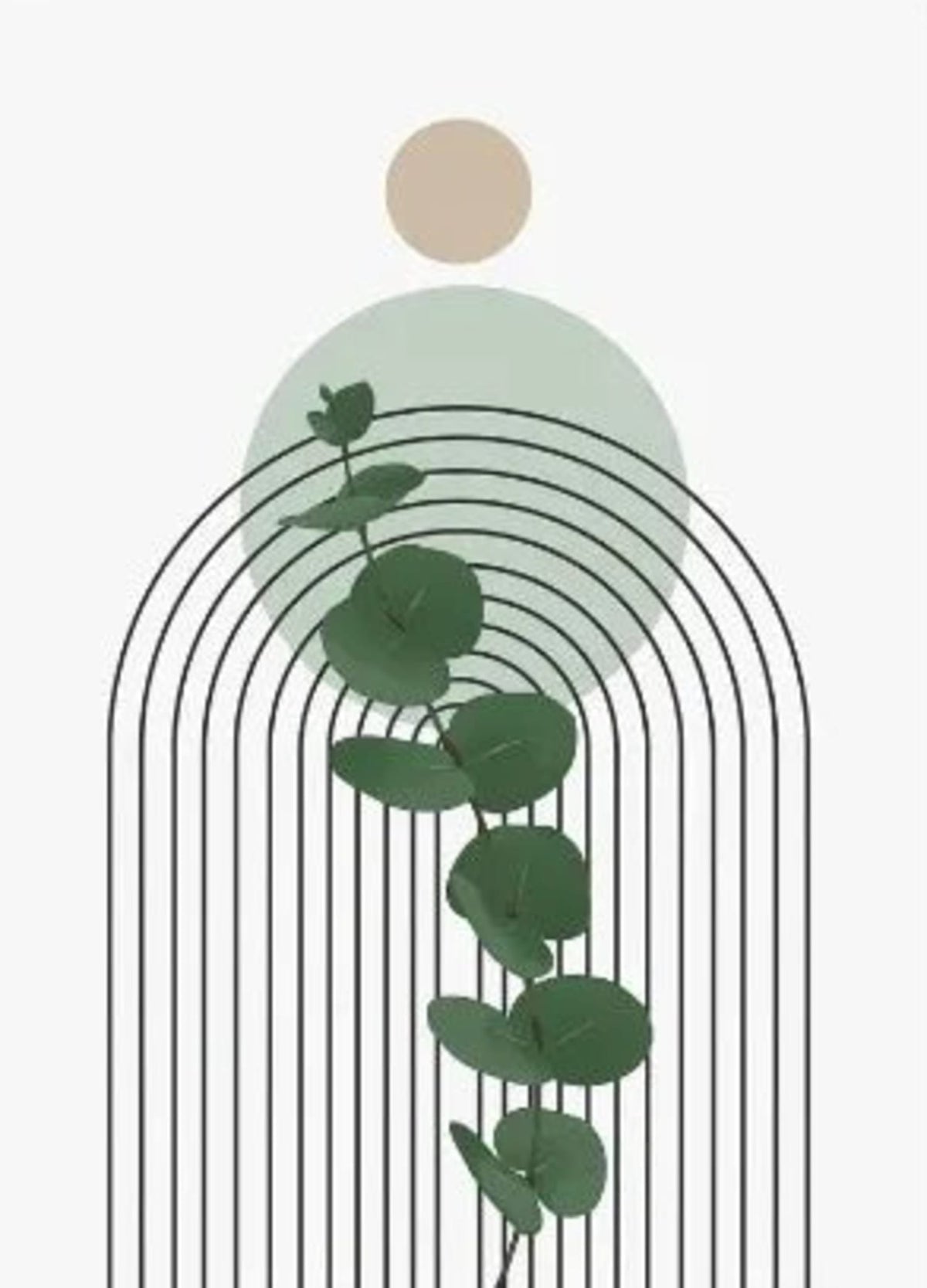 MODERN BOTANICAL FLOW