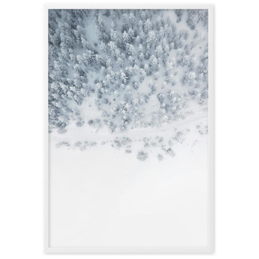 Winter Editions | Forest Entry Poster | Scenic Nature Artwork | Home Wall Decor