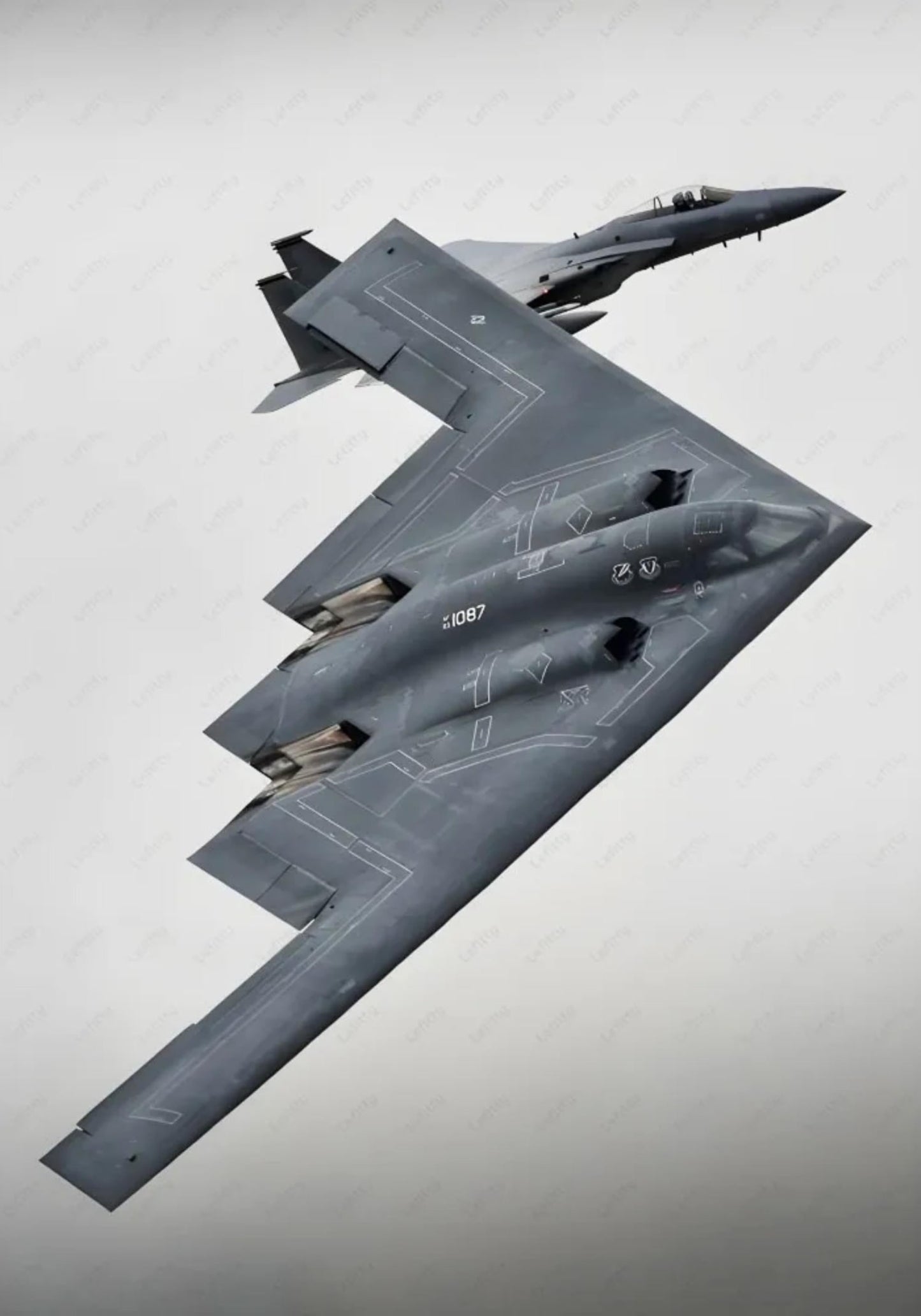AMERICAN FIGHTER