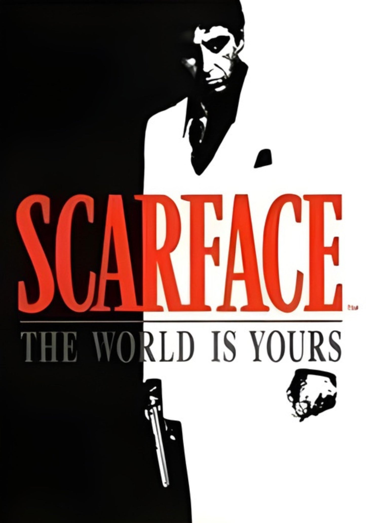Scarface | The World Is Yours | Tony Montana