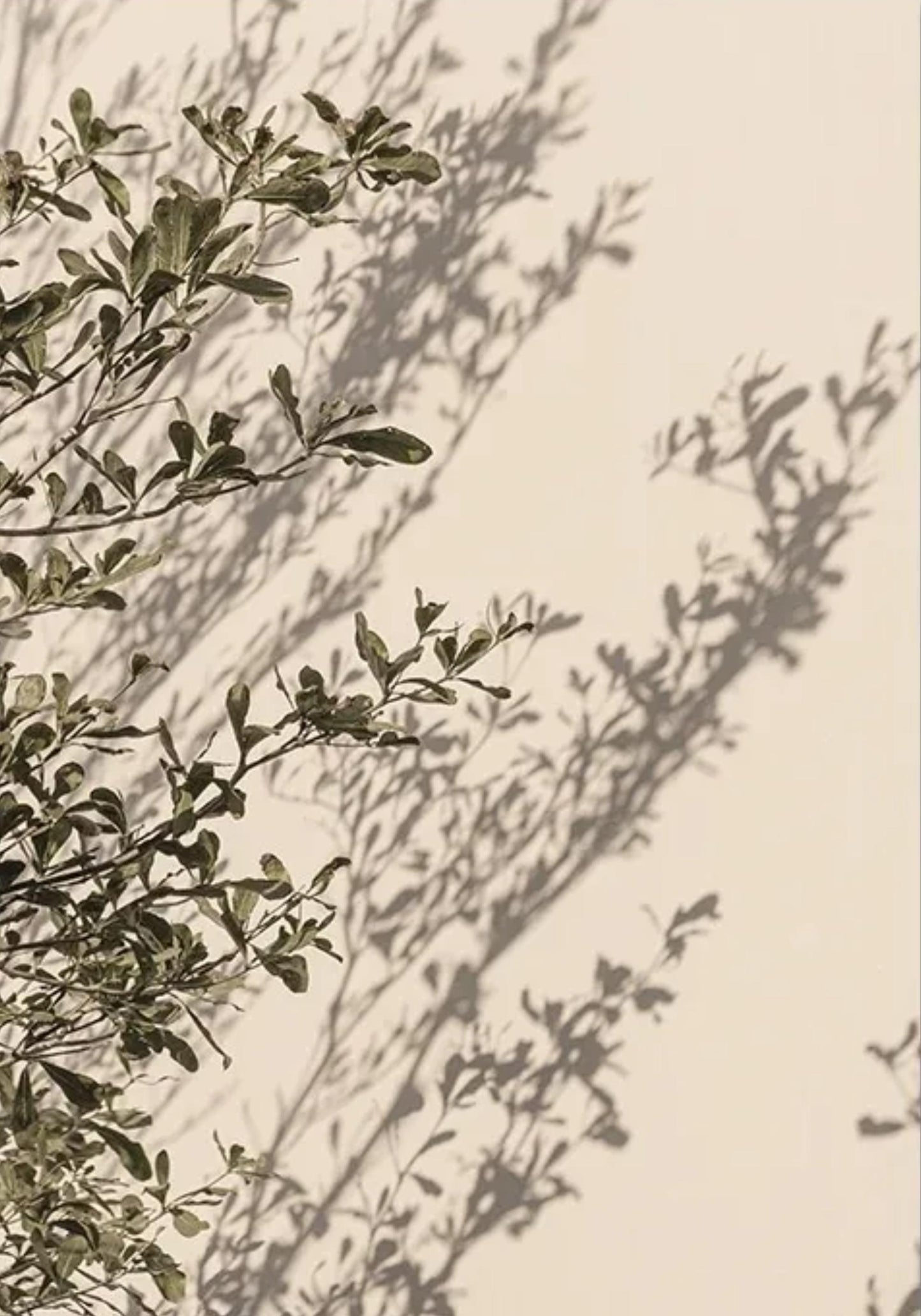 Italian Town Floral Essence | Poster | Home Decor | Vibrant Garden Scene Art