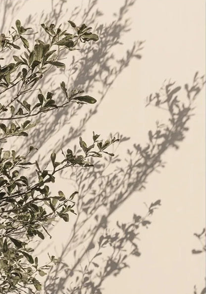 Italian Town Floral Essence | Poster | Home Decor | Vibrant Garden Scene Art