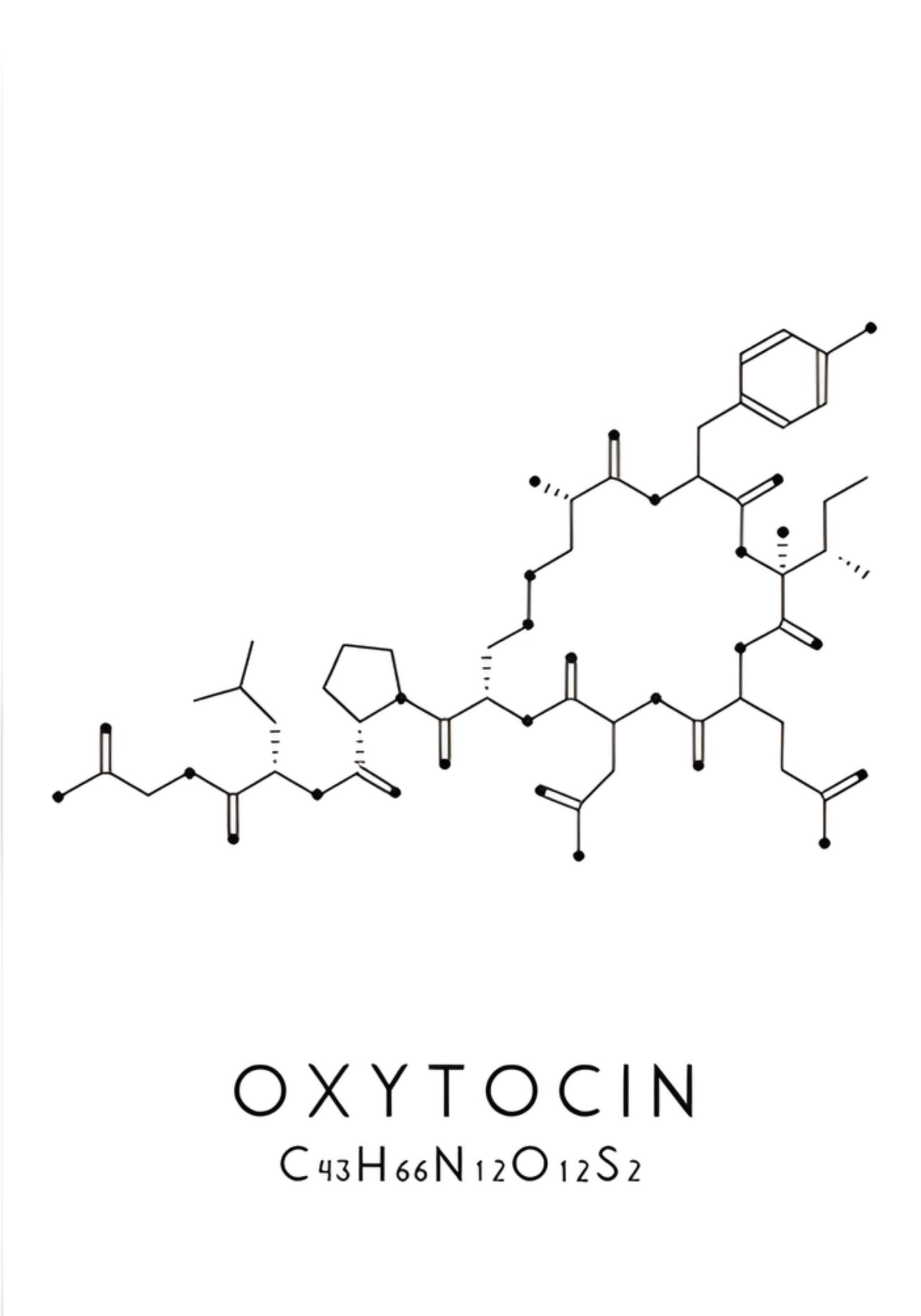 Dopamine & Serotonin Molecules | Science Art