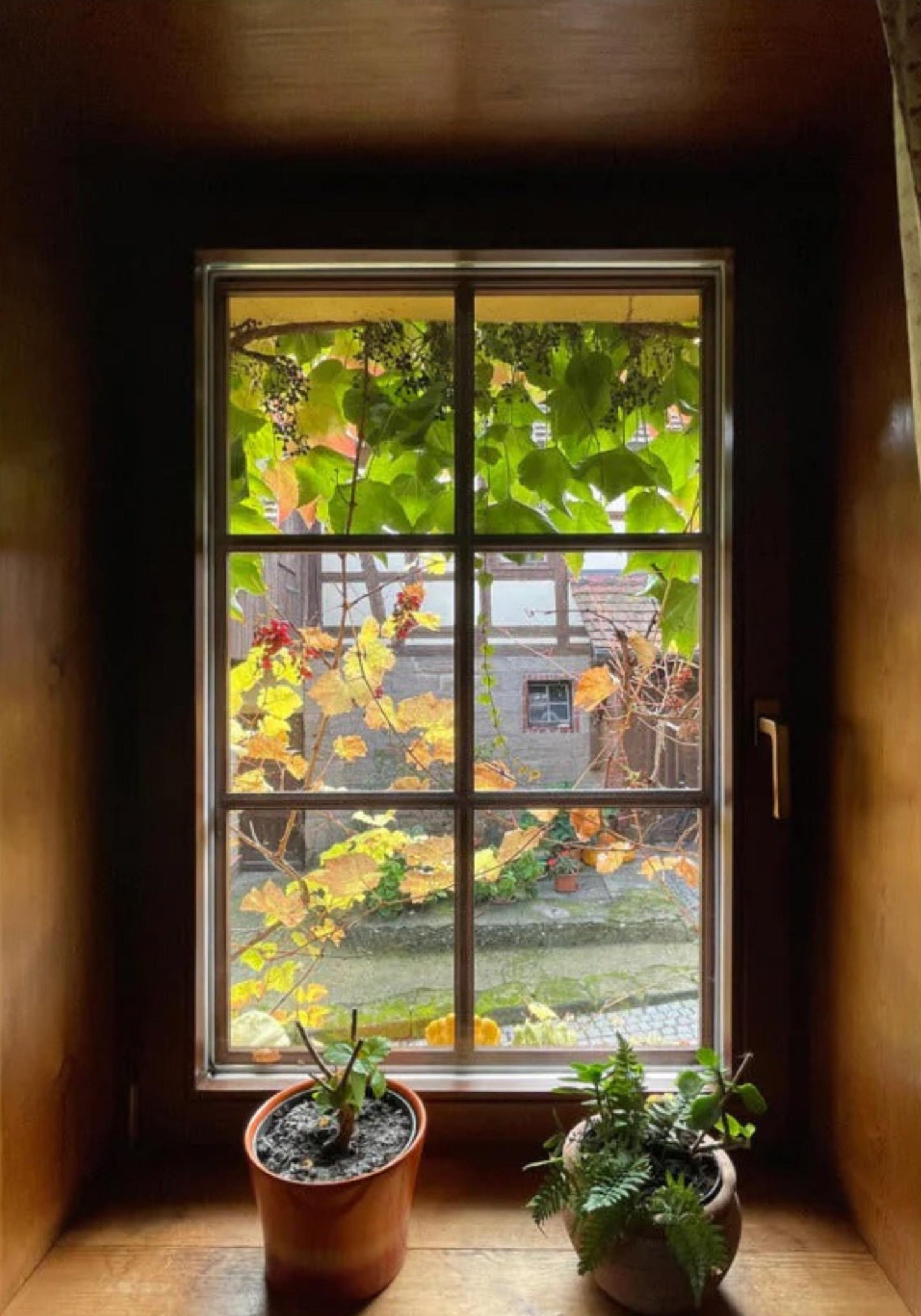 Herbstfenster Margersdorf - Poster