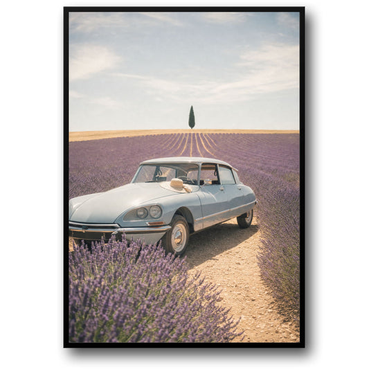 Vintage Car in Lavender Field | Travel Photography Decor | Scenic Art Print Poster