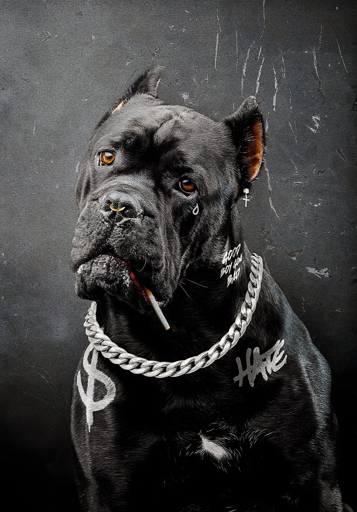 Black Dog Graffiti | Urban Street Art