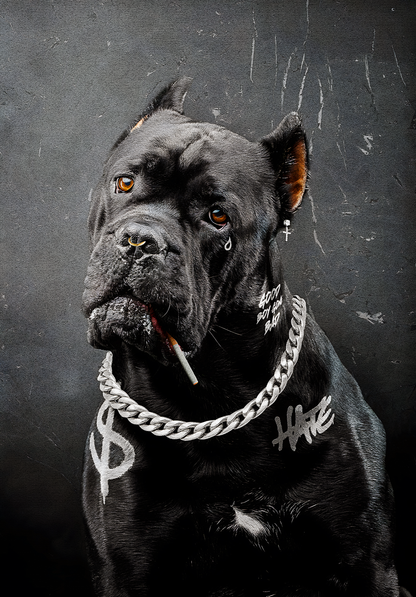 Black Dog Graffiti | Urban Street Art