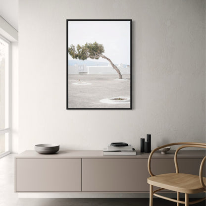 Olive Garden | Italy Landscape | Timeless Tranquility
