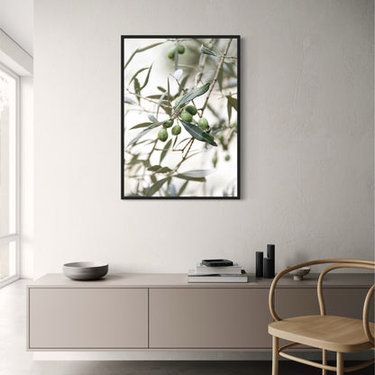 Olive Garden Italy | Timeless Beauty
