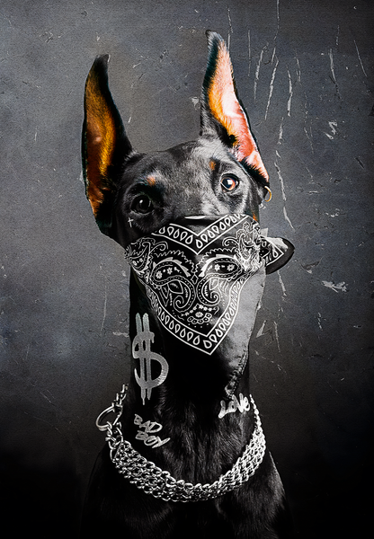 Urban Dog with Bandana | Paisley & Chains | Graffiti Style