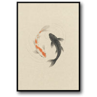 KOI DREAMING