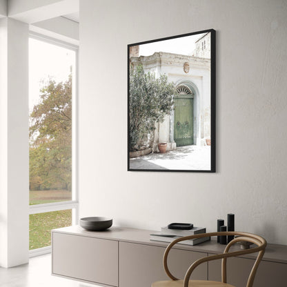 Olive Garden Landscape | Green Oasis | Italy Nature Scene
