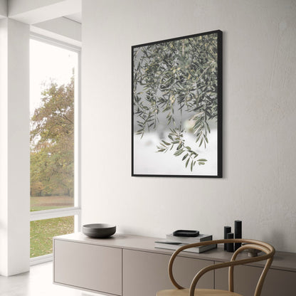 Italy's Olive Garden Landscape | Nature's Embrace Art