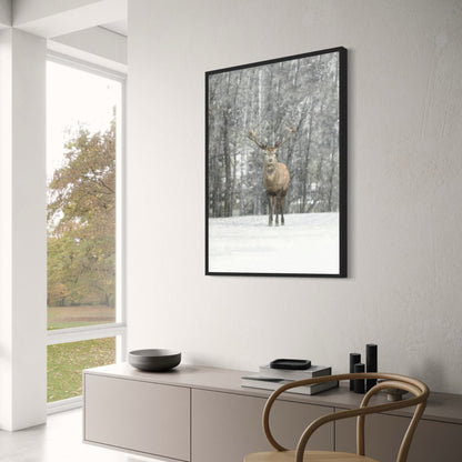 Hi Deer | Winter Editions