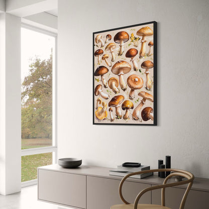 Diverse Mushroom Species | Illustrated Botanical Art