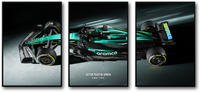 THE AMR TRILOGY