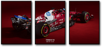 FERRARI FORMULA 1: TRIPLE PANEL RACING CANVAS