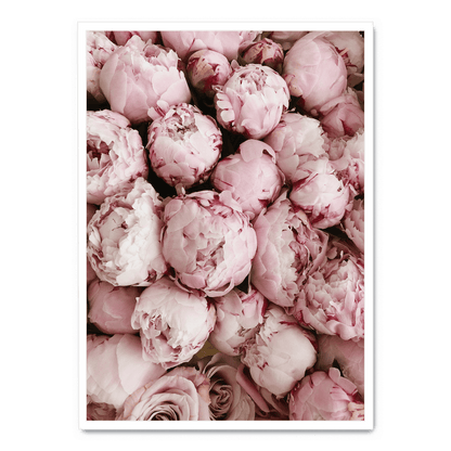 Pink Rose Blooms | Floral Print Art | Wall Decor Poster | Romantic Home Decoration | Vibrant Nature Artwork | Garden-Inspired Visuals | Perfect for Living Room, Bedroom, or Office Decor