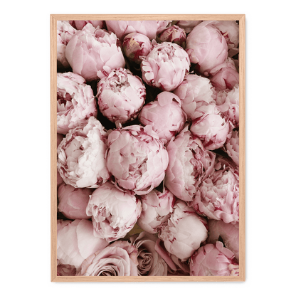 Pink Rose Blooms | Floral Print Art | Wall Decor Poster | Romantic Home Decoration | Vibrant Nature Artwork | Garden-Inspired Visuals | Perfect for Living Room, Bedroom, or Office Decor