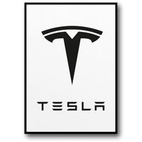 TESLA ICON