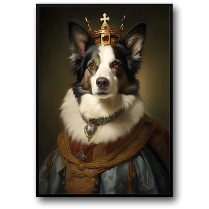 Majestic Border Collie Portrait