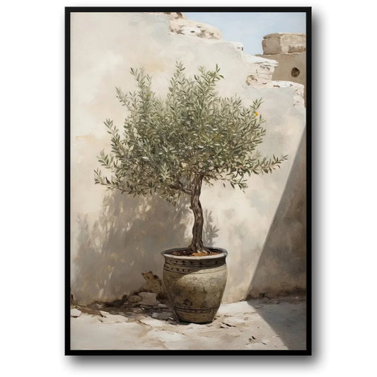 Vintage Italian Olive Farm | Mediterranean Scene